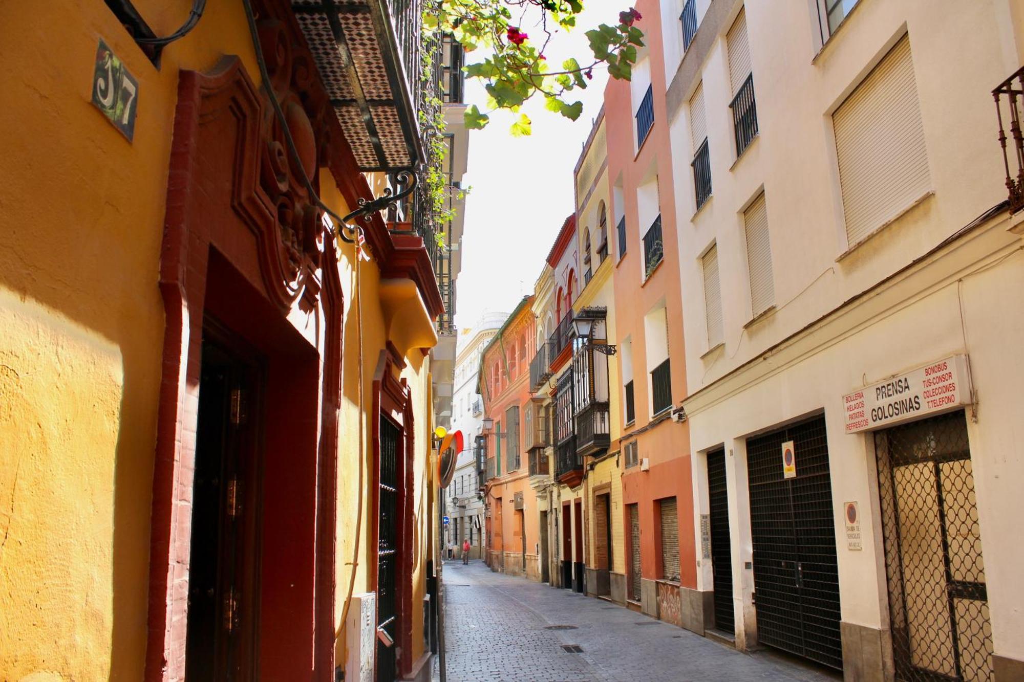 Wish Suite Plaza Nueva Sevilla Dış mekan fotoğraf
